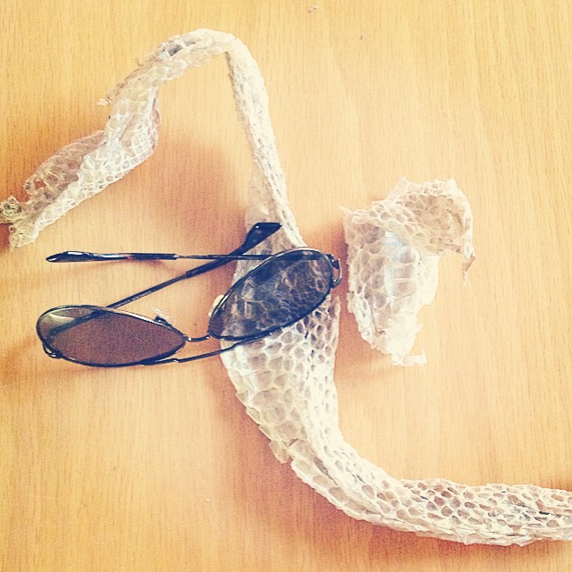 Happy #snake season #2014