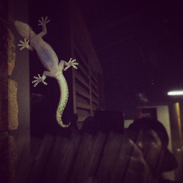 #wildlife 
</p>
<!-- AddThis Advanced Settings above via filter on the_content --><!-- AddThis Advanced Settings below via filter on the_content --><!-- AddThis Advanced Settings generic via filter on the_content --><!-- AddThis Share Buttons above via filter on the_content --><!-- AddThis Share Buttons below via filter on the_content --><div class=