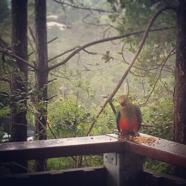 All is well in #kampkesland