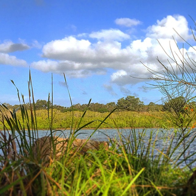 Mellowing out before tonight - @thehi_boys will be playing down at the beach stage #noosafestivalofsurfing around 6pm ..then to Cafe Le Monde for Pete Cullen & The Saltwater Cowboys (@rupelj on ) and then @patcapocci