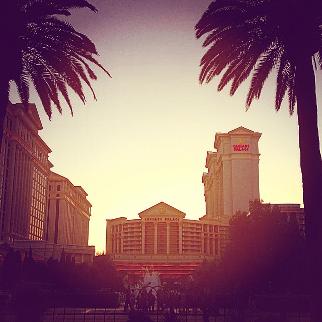 #caesarspalace #vegas afternoon