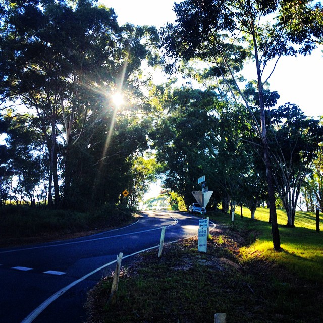 From my school bus stop