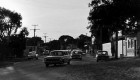 noosa 1960s